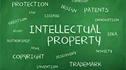 Austria intellectual property rights investigator